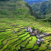 rice_terraces_3